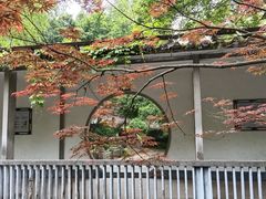 -杭州动物园