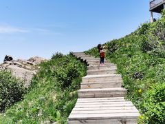 -白草畔自然风景区