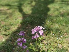 -陕西省西安植物园