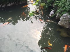 -檀园