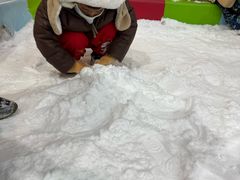 -世界之窗阿尔卑斯冰雪世界