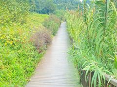 -张坝桂圆林公园