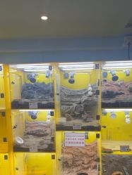 -神奇动物撸宠馆·羊驼·小浣熊·异宠(豫园店)