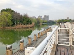 -新江湾城公园