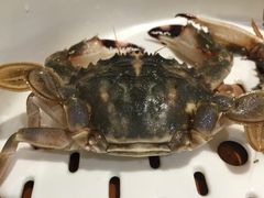 -马路边上·小海鲜烧烤(八一路店)