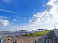 -南汇新城海滩