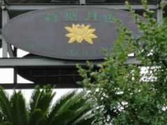 -荷塘月色湿地公园·向阳花洲