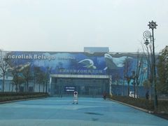 -芜湖新华联大白鲸海洋公园