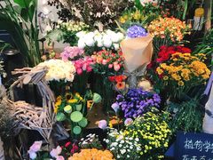 -植物学家的女儿(北马道巷店)