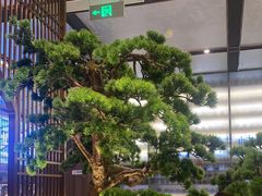 -聆桂烤鸭·金奖烤鸭(静联广场店)