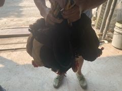 -马陆小张葡萄园农家乐