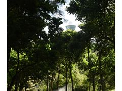 -狐尾山公园