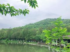 -八卦田遗址公园