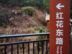 -红花湖景区