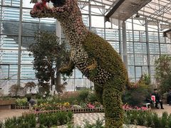 -沈阳植物园