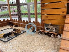 -珠海海泉湾神秘岛亲子乐园