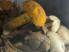 -九溪蒋记菌子宴