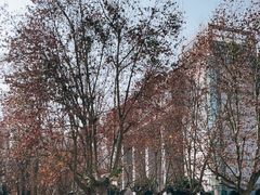 -四川农业大学(雅安校区)