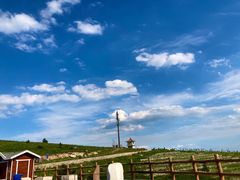 -阳台山自然风景区