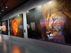 -罗红摄影艺术馆