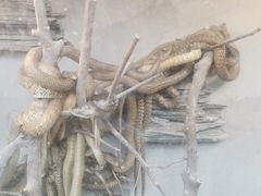 -荔城生鲜盛宴(番禺旗舰店)