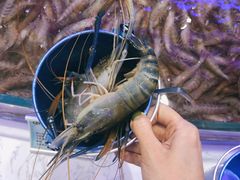 -澜悦港海鲜体验主题餐厅
