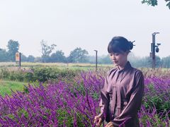 -汉长安城未央宫国家考古遗址公园