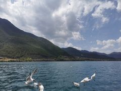 -泸沽湖国家级风景名胜区走婚桥