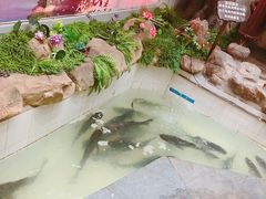 -春盛渔府(牛首山店)