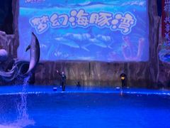 -华夏文旅海洋公园