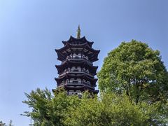 -洋湖国家湿地公园