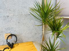 -MQ COFFEE STAND明谦(新洲店)