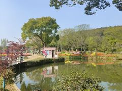 -无锡梅园公园