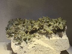 -河南自然博物馆