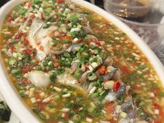 飞虹鱼-飞虹鱼馆(春华路店)