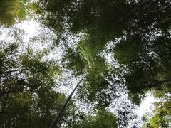 -南山风景名胜区