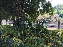 -晓港公园