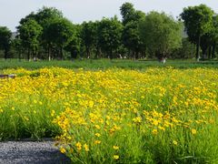 -汉长安城未央宫国家考古遗址公园