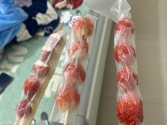 -霞山观海长廊