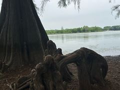 -东湖落雁景区