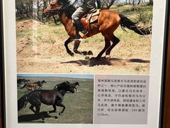 -中国马镇舞马世界主题乐园