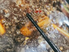 土鳝鱼-金海椒罐罐鲢鱼(东方桂苑店)
