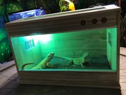 -酷嗒动物文化乐园(cutezoo西溪乐天城店)