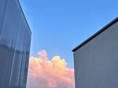 -雅苑中餐厅