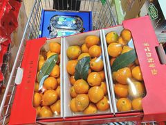 -鲜力达果品批发直销(青山店)