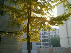 -辽宁大学(崇山校区)