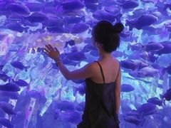 -波塞冬海底世界