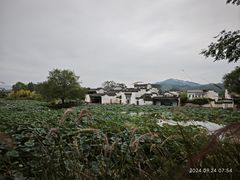 -呈坎景区