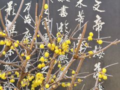 -无锡梅园公园
