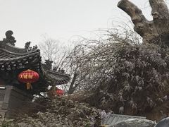 -大槐树寻根祭祖园